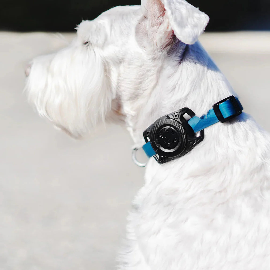 Porta AirTag LOGiiX para Mascotas Negro